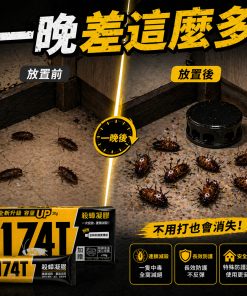 174T蟑螂藥使用情境-不用打蟑螂也會消失